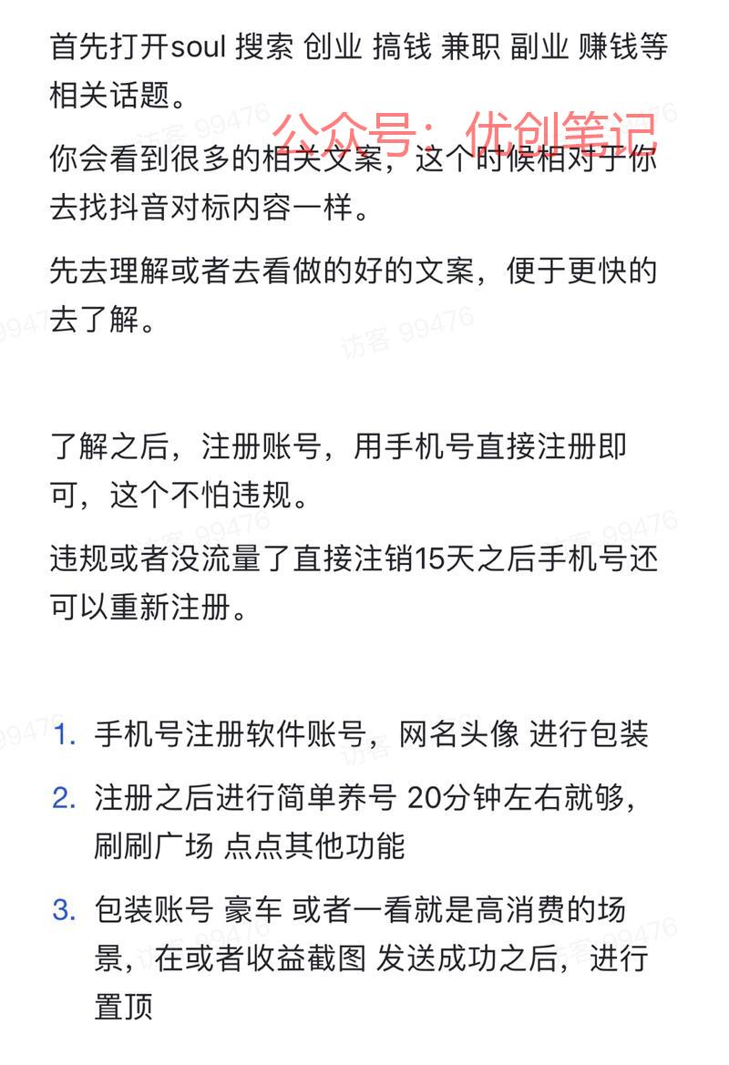 在Soul上截流创业粉，操作..情报-搞钱线报📢论坛-网创交流-优创圈